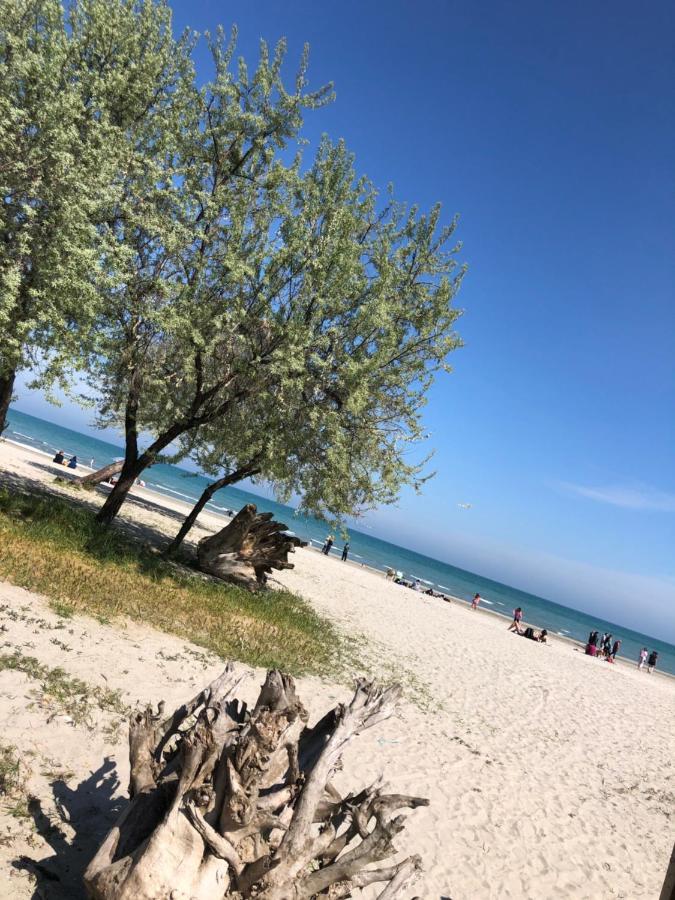North Spa&Pools Alezzibeach 那沃达利 外观 照片